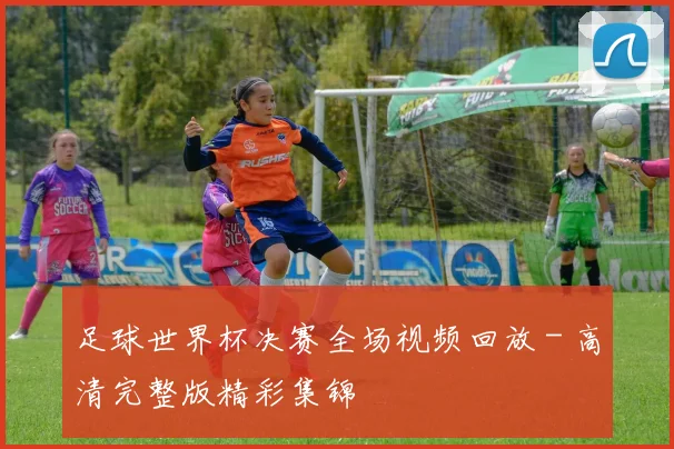 足球世界杯决赛全场视频回放 - 高清完整版精彩集锦