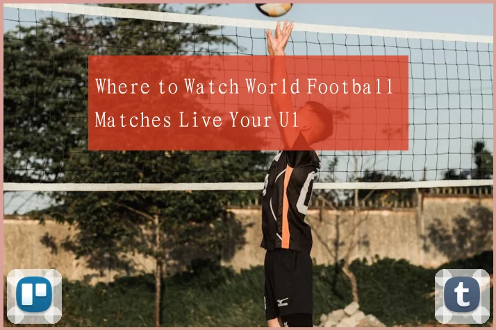 Where to Watch World Football Matches Live Your Ul